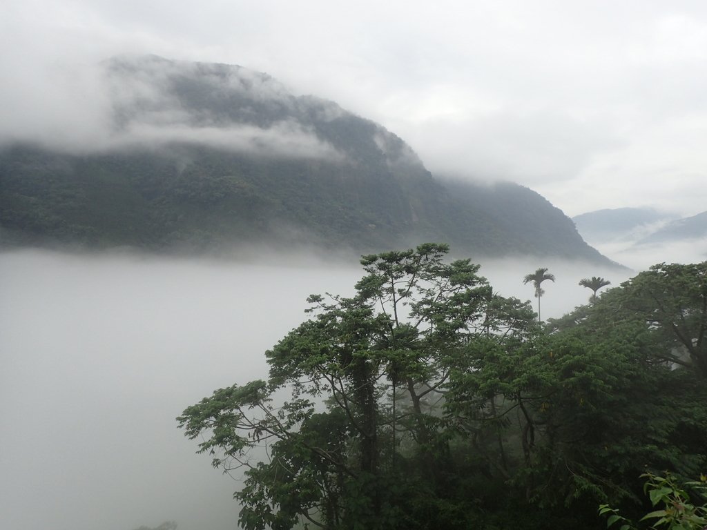 PA231551.JPG - 古坑  草嶺  雲山繚繞