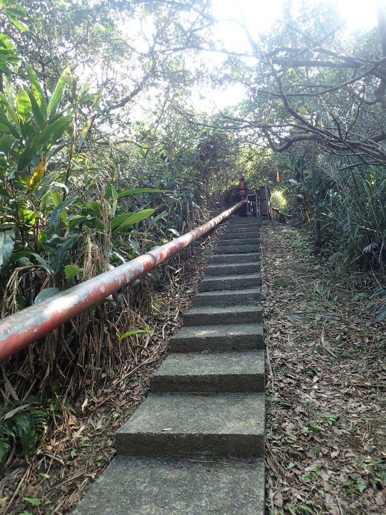 PB179532.JPG - 基隆  球子山(火號山)步道