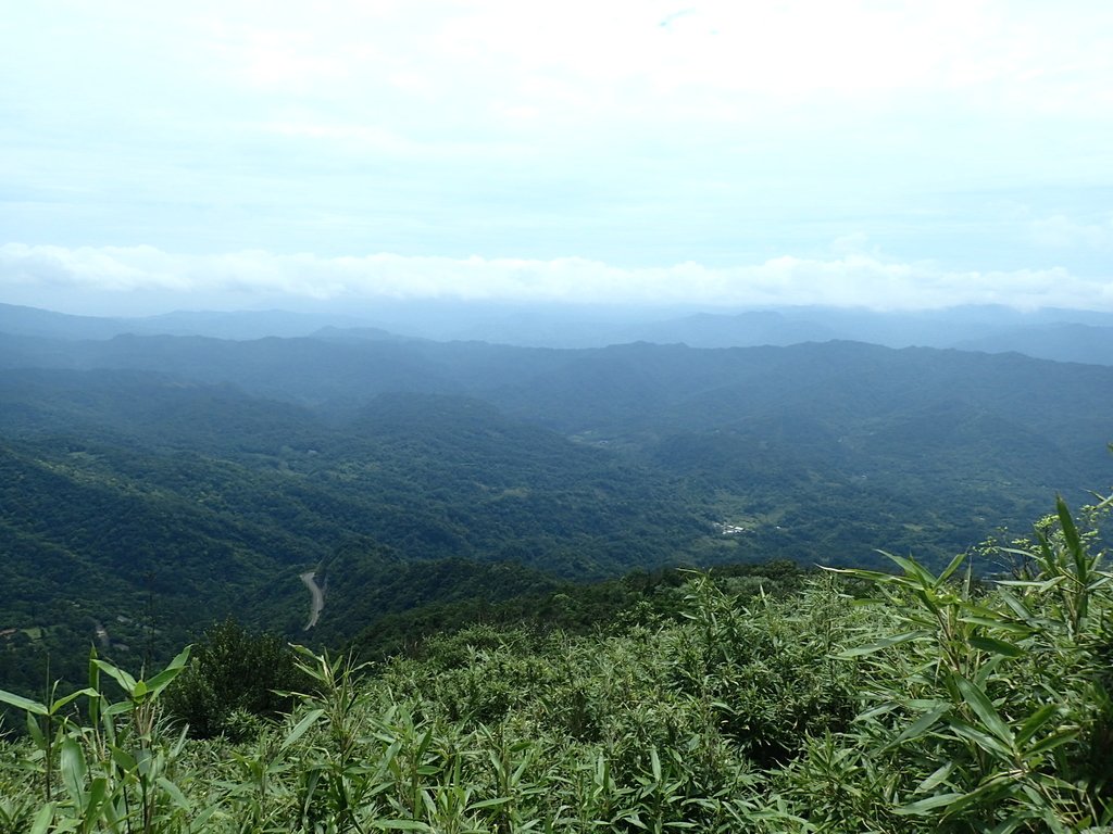 P7203848.JPG - 瑞芳  五分山登山步道