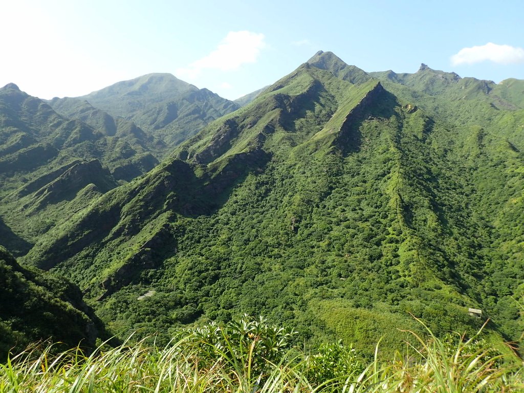 PA104824.JPG - 秋晴  南子吝山  登龍尾坪