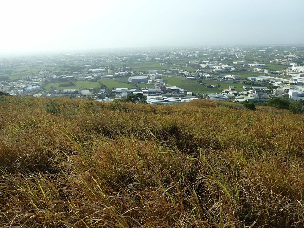 PA160959.JPG - 大甲  鐵砧山大草原