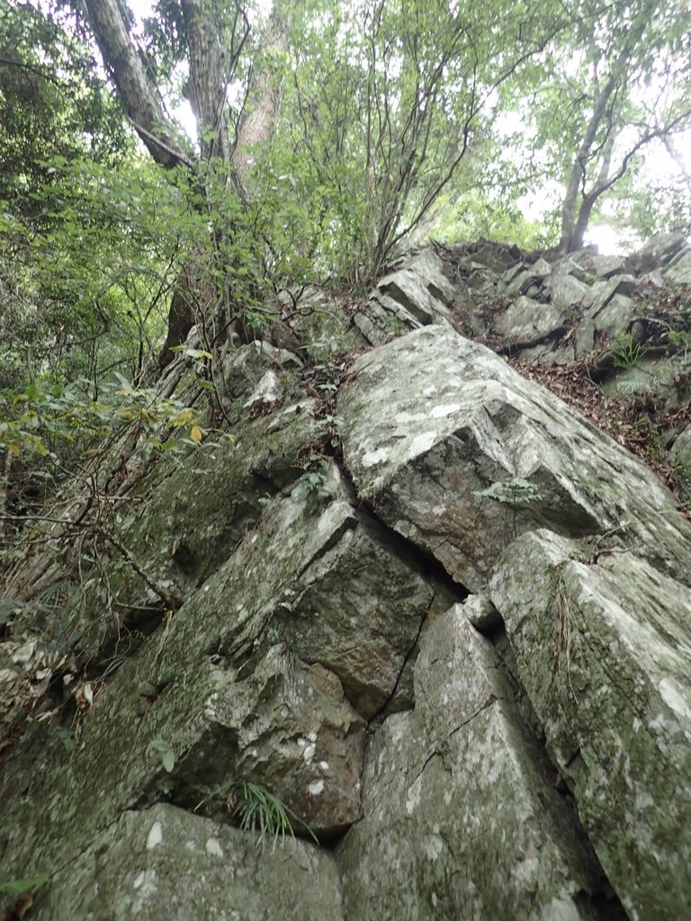 P5012286.JPG - 谷關七雄之  波津加山