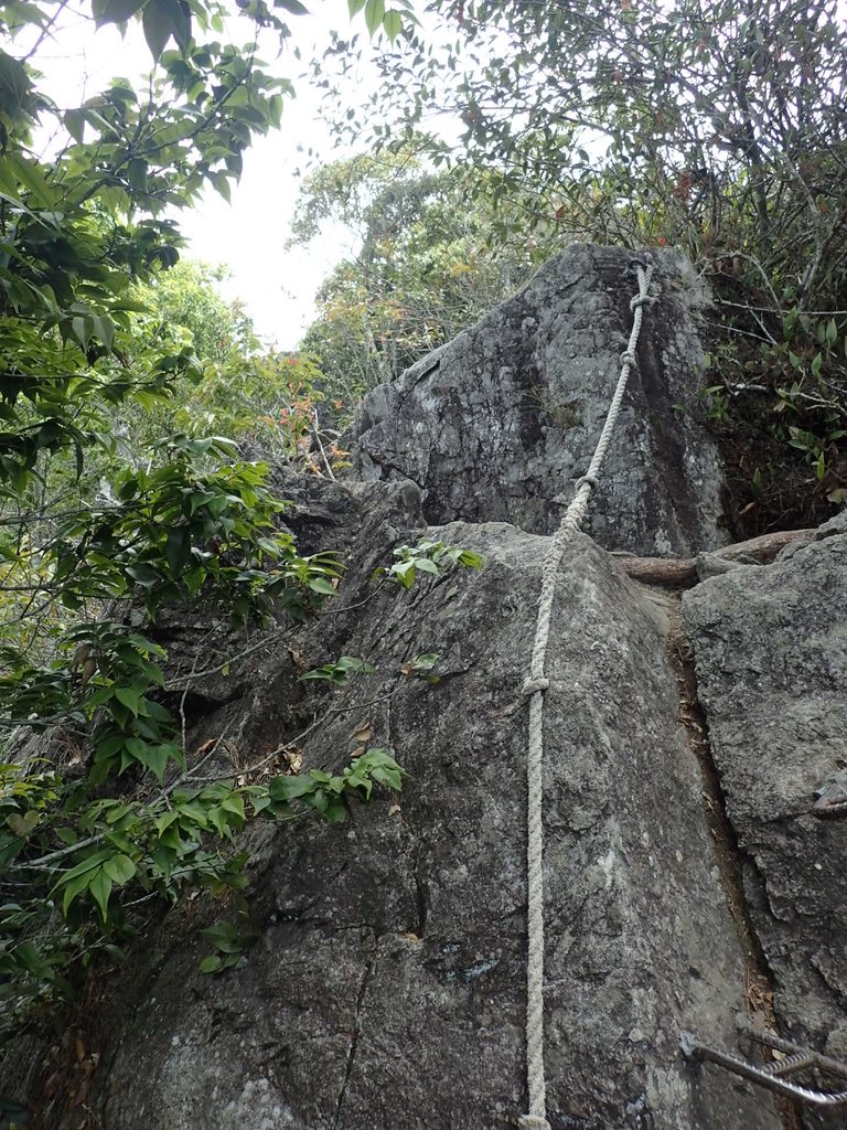 P5012348.JPG - 谷關七雄之  波津加山