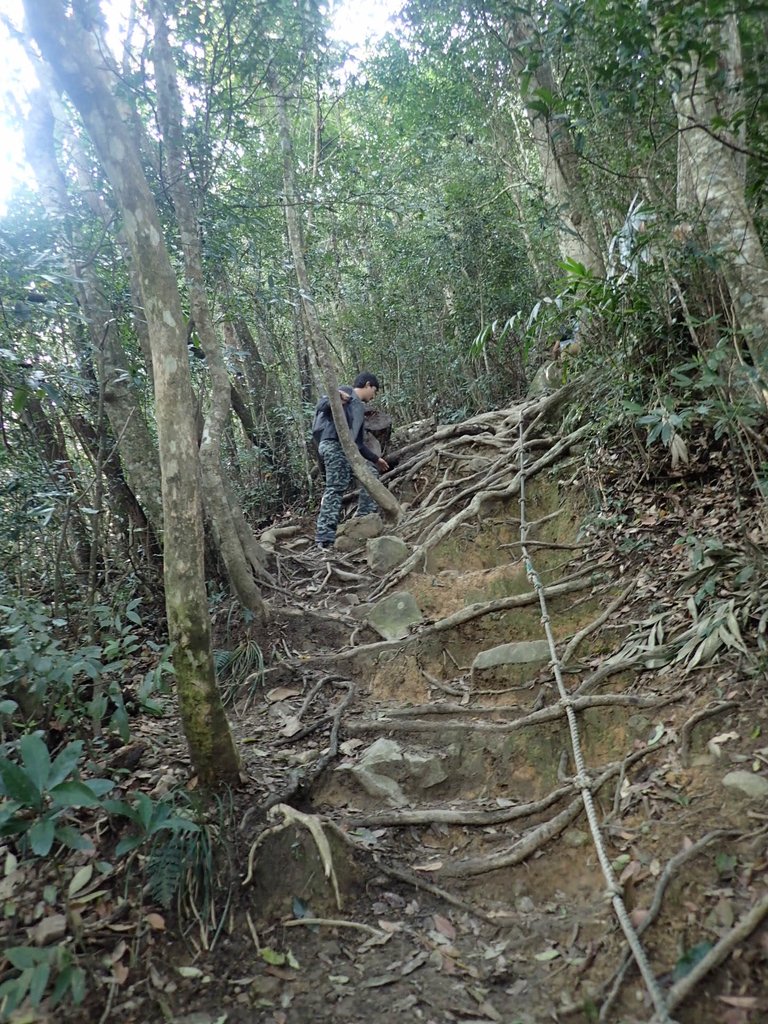 P3217575.JPG - 谷關七雄  白毛山  02