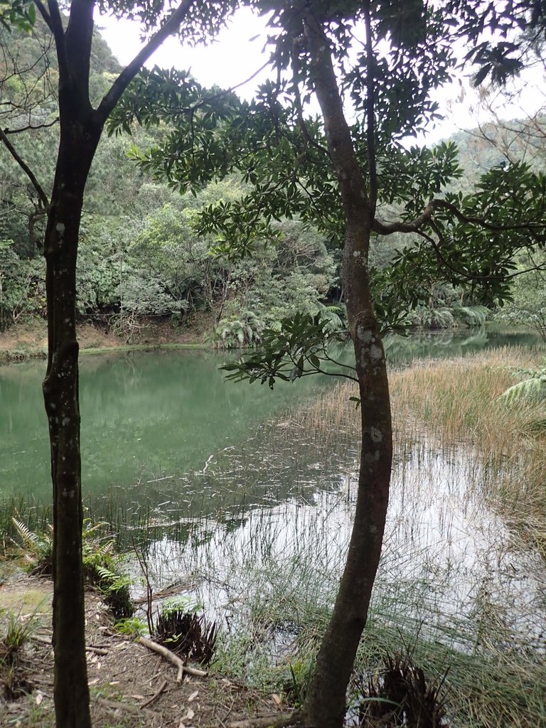 P3160132.JPG - 汐止  柯子林山  如意湖