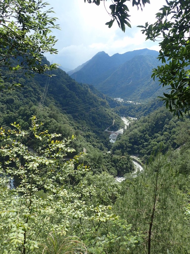 P6054140.JPG - 谷關七雄之  馬崙山  (上)