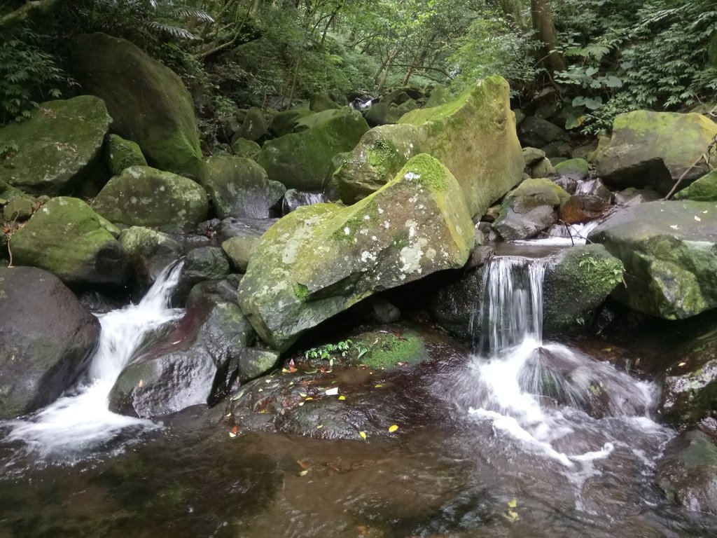 DSC_0707.JPG - 三芝  大屯溪古道