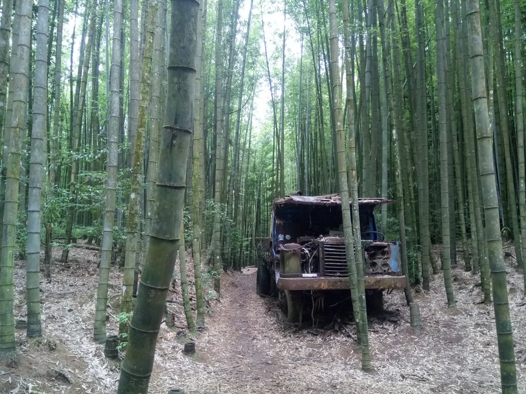 DSC_5254.JPG - 台中和平  長壽山登山步道  (中)