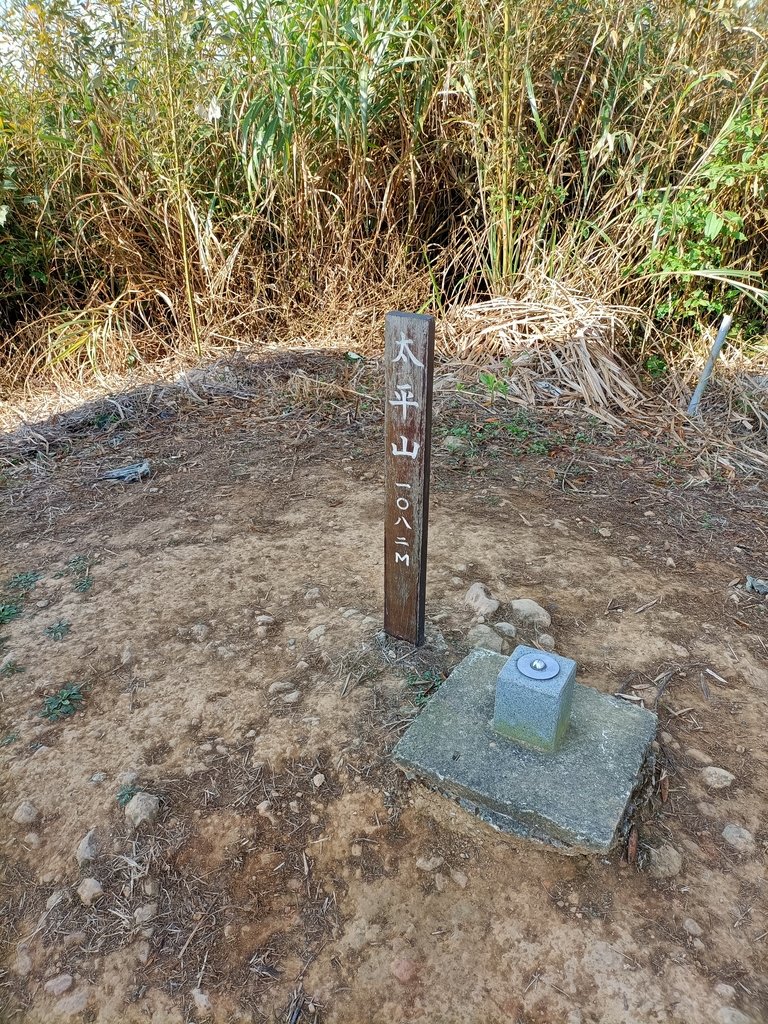 IMG20210130085514.jpg - 雲嘉連峰之  太平山  梨子腳山