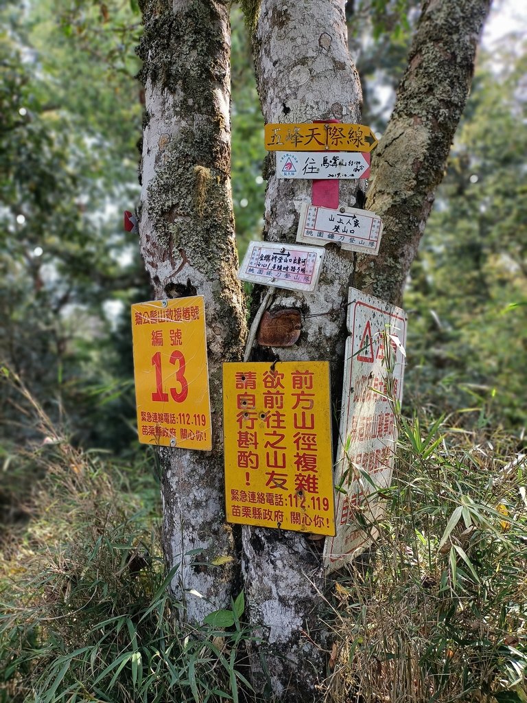 IMG20210403100810.jpg - 五峰  鵝公髻山登山步道  (01)