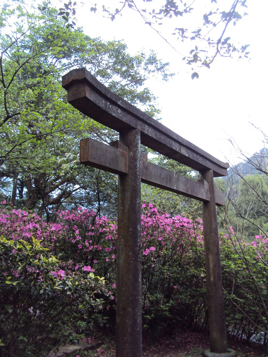 DSC07056.JPG - 再訪  侯硐神社