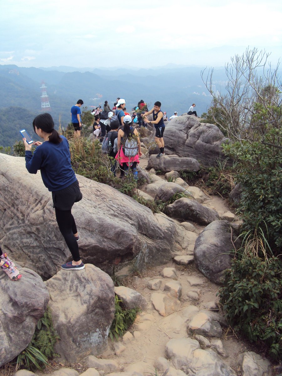 DSC06702.JPG - 內湖  金面山步道