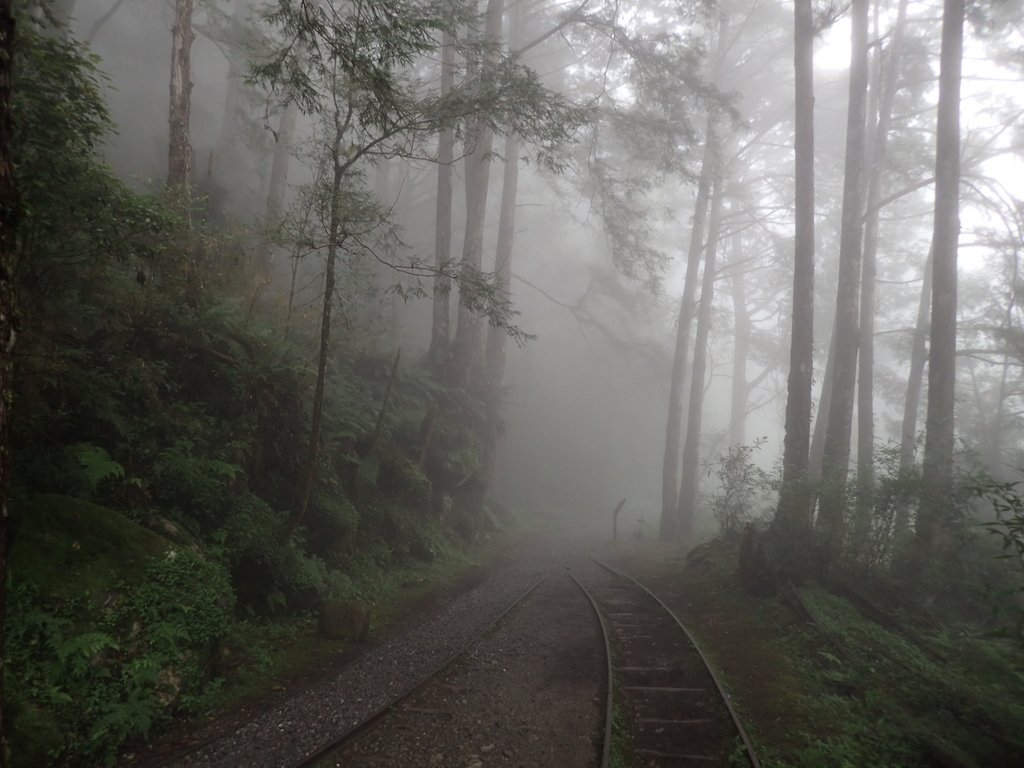 P8226797.JPG - 太平山 見晴懷古步道