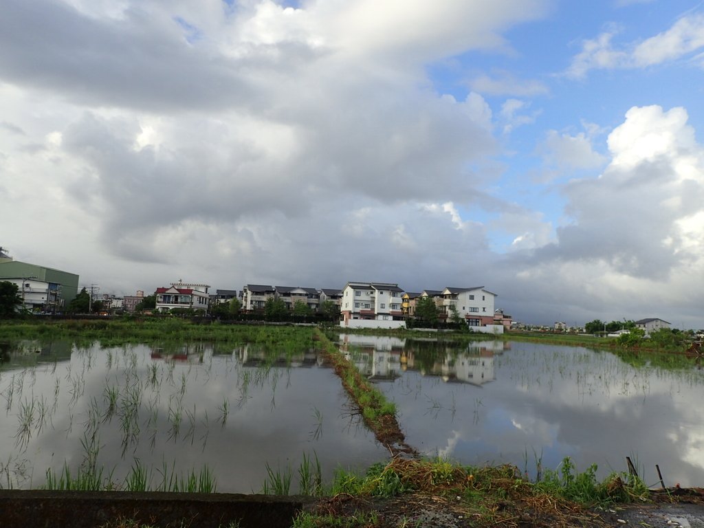 PA104169.JPG - 壯圍  竹安  水田雲影