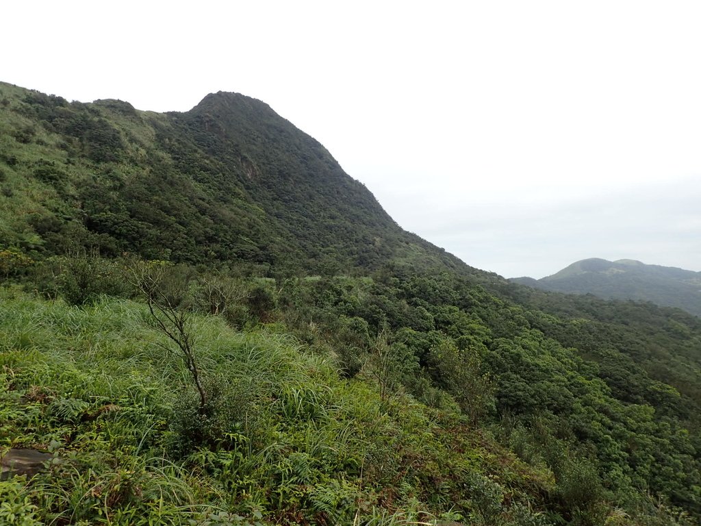 P1274353.JPG - 瑞芳  燦光寮古道初探