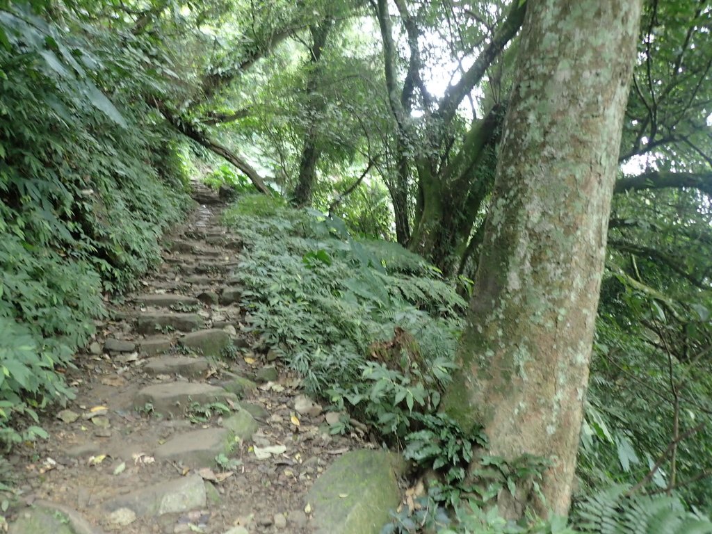 P2107488.JPG - 大溪  溪洲山登山步道