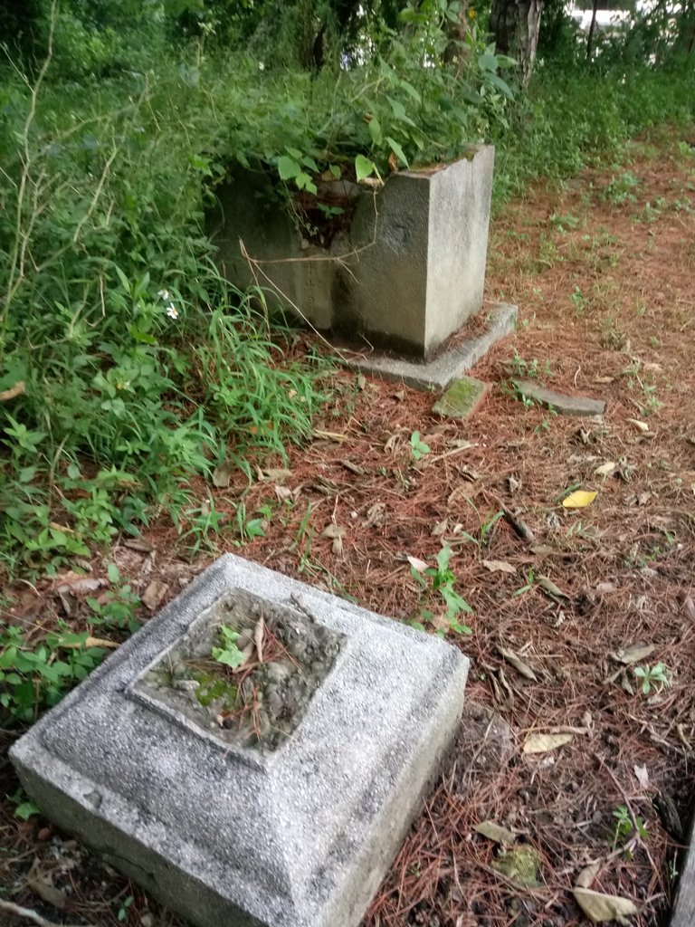 DSC_9003.JPG - 苗栗  稻荷神社遺址