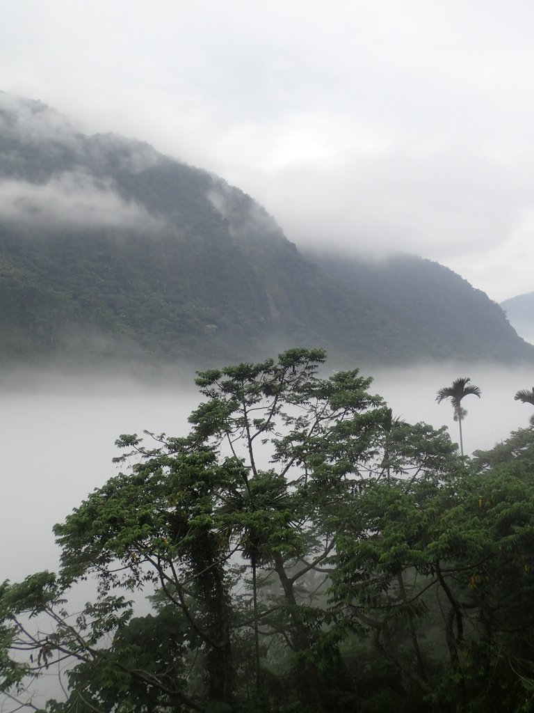 PA231553.JPG - 古坑  草嶺  雲山繚繞