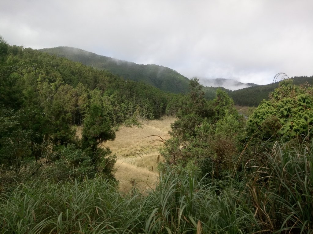 DSC_0041.JPG - 太平山  翠峰湖環山步道  01