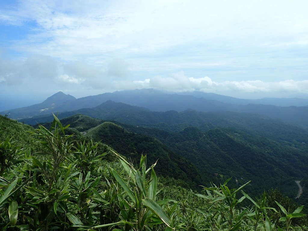 P7203850.JPG - 瑞芳  五分山登山步道