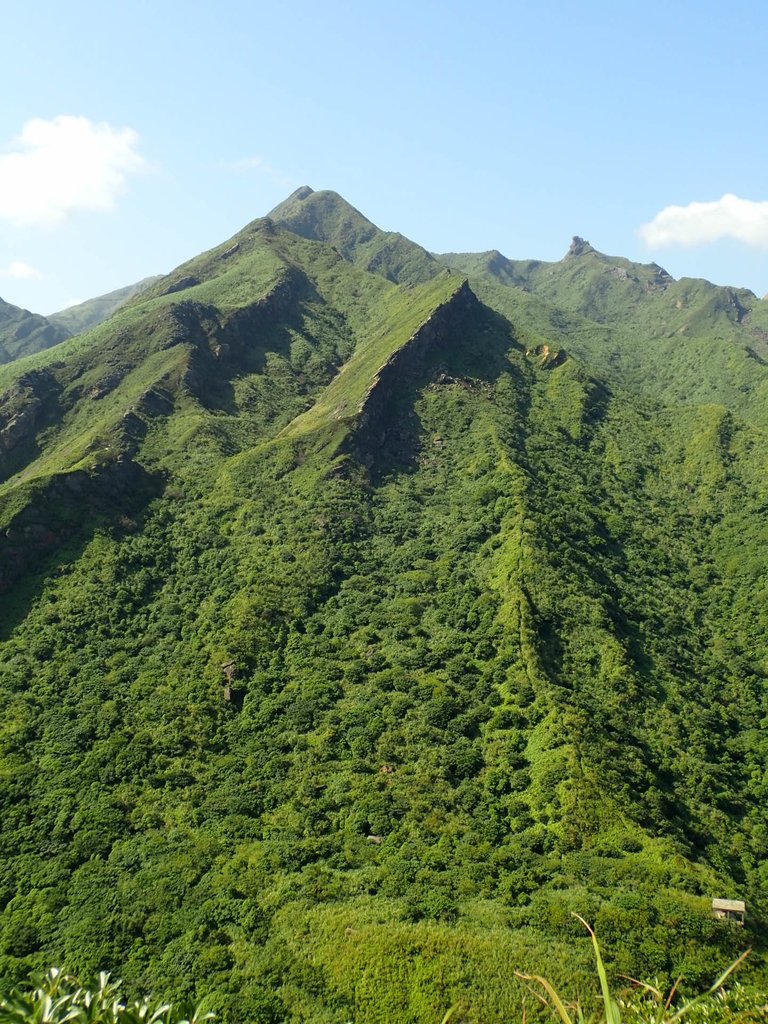 PA104826.JPG - 秋晴  南子吝山  登龍尾坪