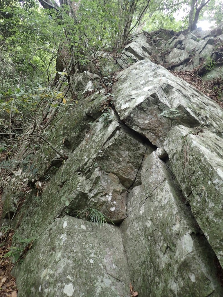 P5012289.JPG - 谷關七雄之  波津加山