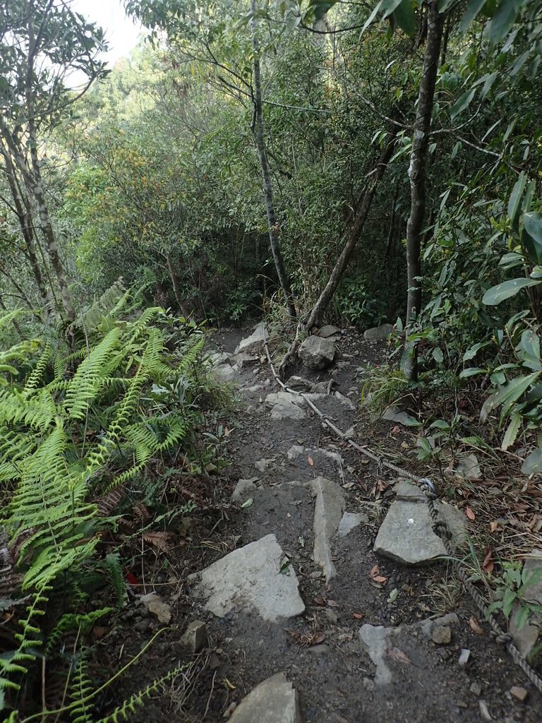 P3217578.JPG - 谷關七雄  白毛山  02