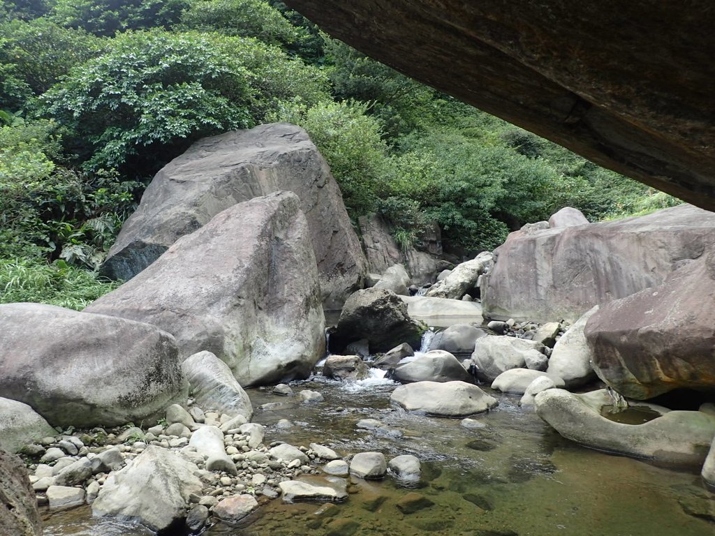 P8317596.JPG - 瑞芳  雷霆岩下之  溪谷風情