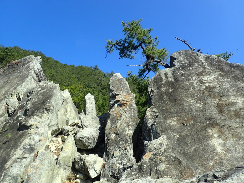 P3167212.JPG - 谷關  東卯山東南稜