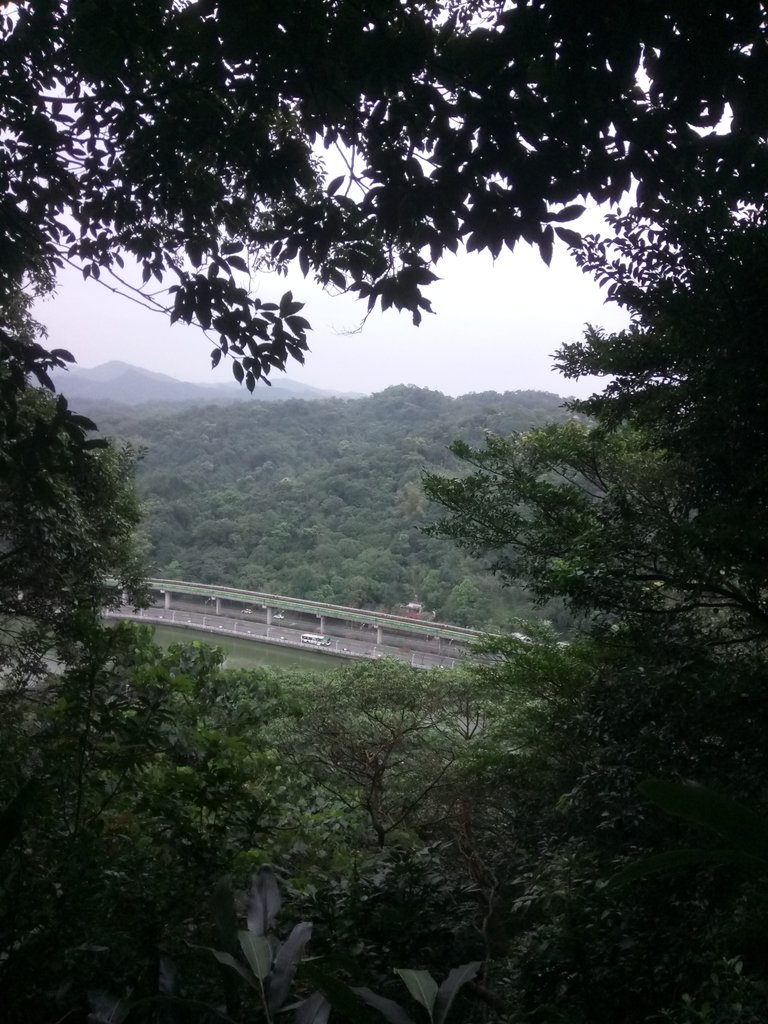 DSC_9259.JPG - 內湖  白鷺鷥山親山步道