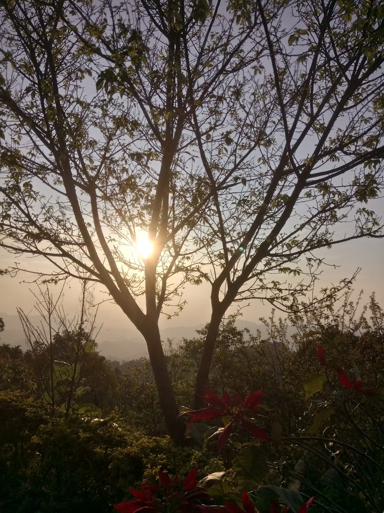 DSC_6917.JPG - 太平  酒桶山  暮色之美