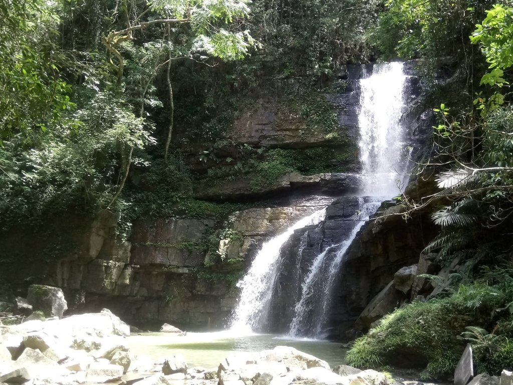 DSC_2666.JPG - 魚池  澀水森林步道  水上瀑布