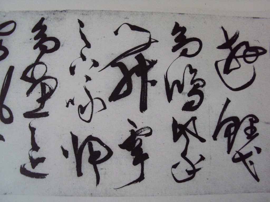 DSC00017.JPG - 陳淳的草書作品