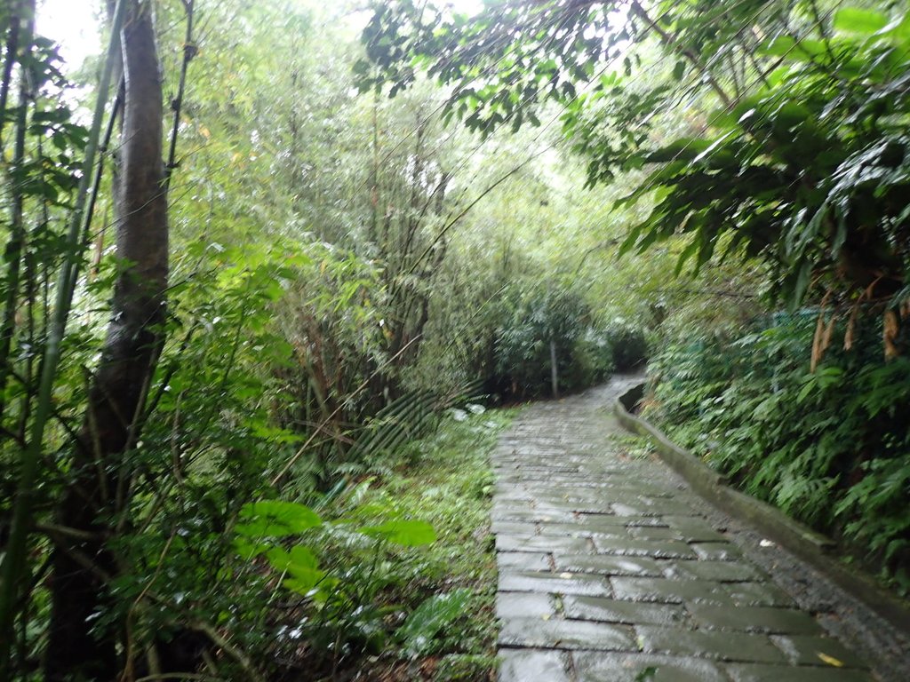 P1062024.JPG - 土城  天上山  登山步道