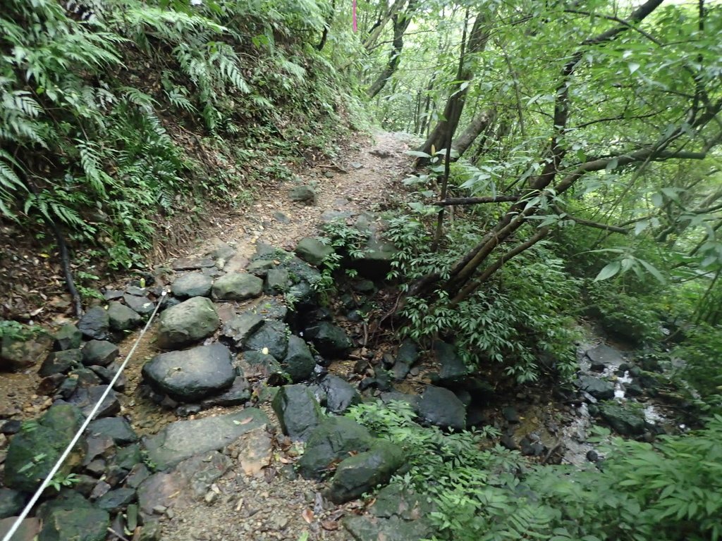 P1274364.JPG - 瑞芳  燦光寮古道初探