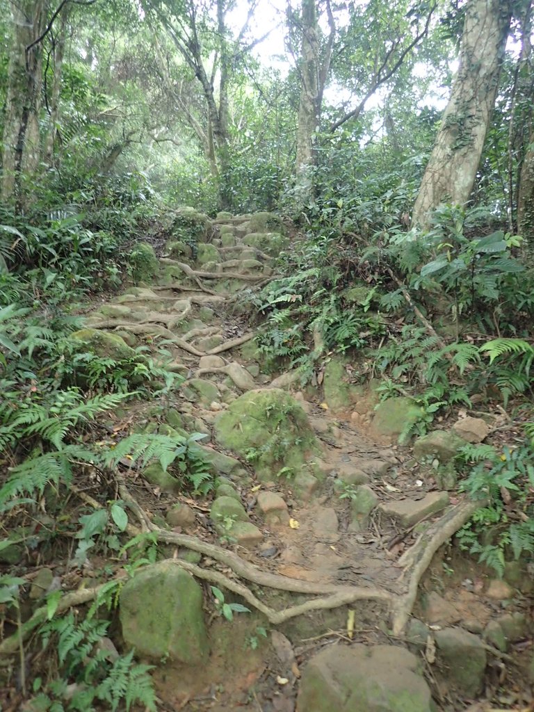 P2107494.JPG - 大溪  溪洲山登山步道