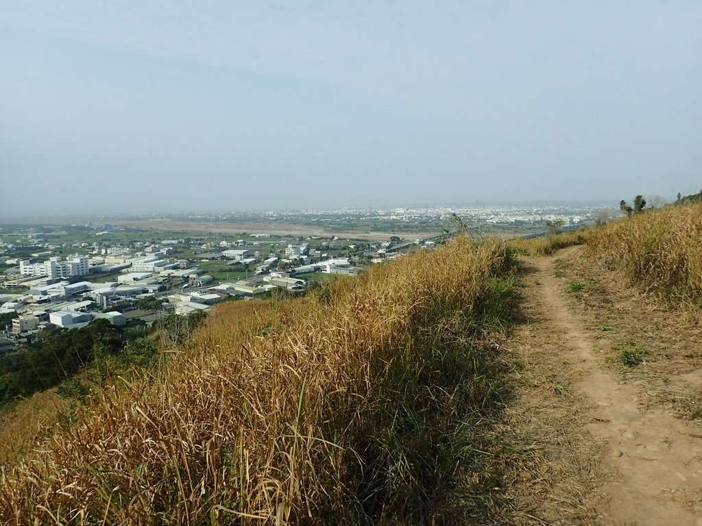 PA160973.JPG - 大甲  鐵砧山大草原