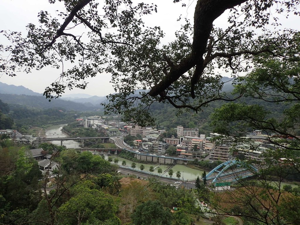 P3170363.JPG - 坪林  鬼子賴尖山