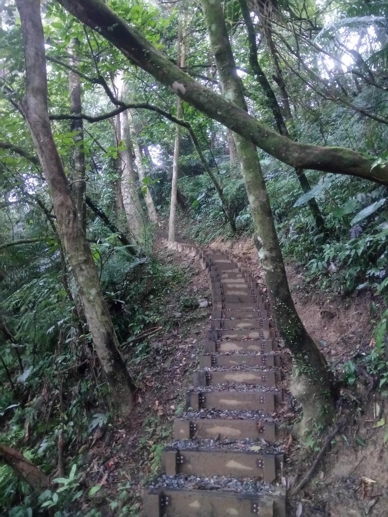 DSC_7164.JPG - 坪林  鬼子賴尖山