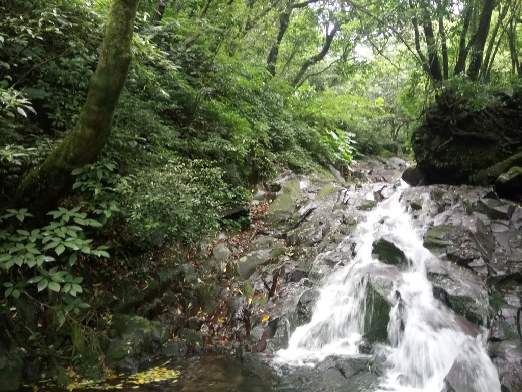 DSC_0715.JPG - 三芝  大屯溪古道