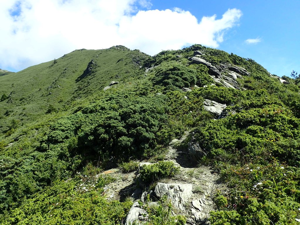 P7245955.JPG - 合歡山  北峰之美  (上)