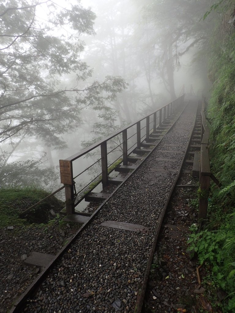 P8226815.JPG - 太平山 見晴懷古步道