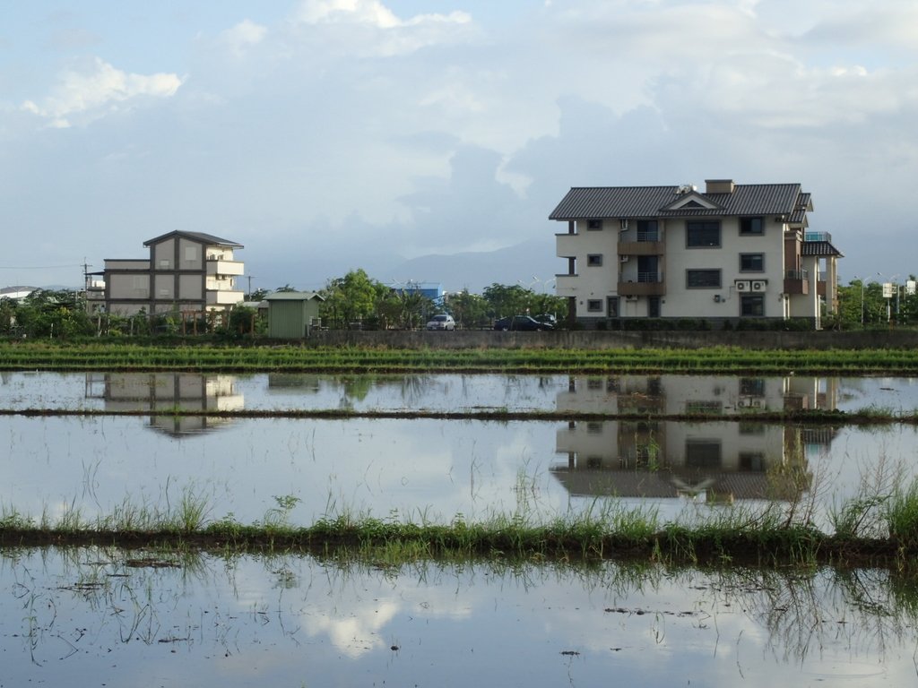 PA104179.JPG - 壯圍  竹安  水田雲影