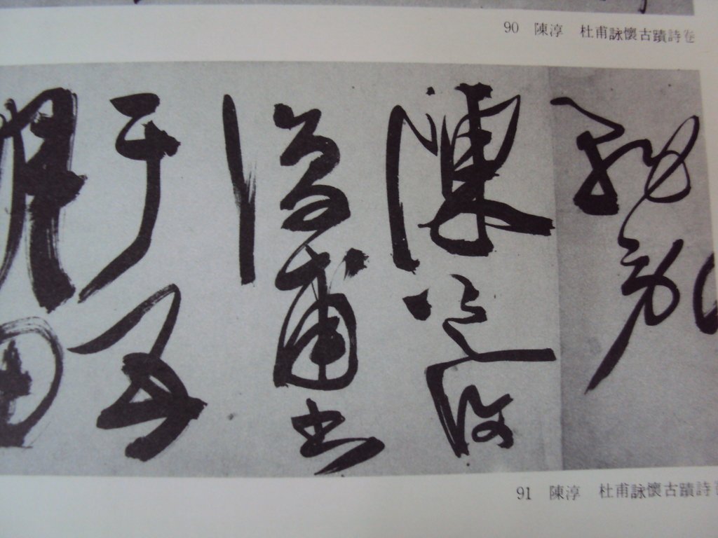 DSC00240.JPG - 陳淳的草書作品