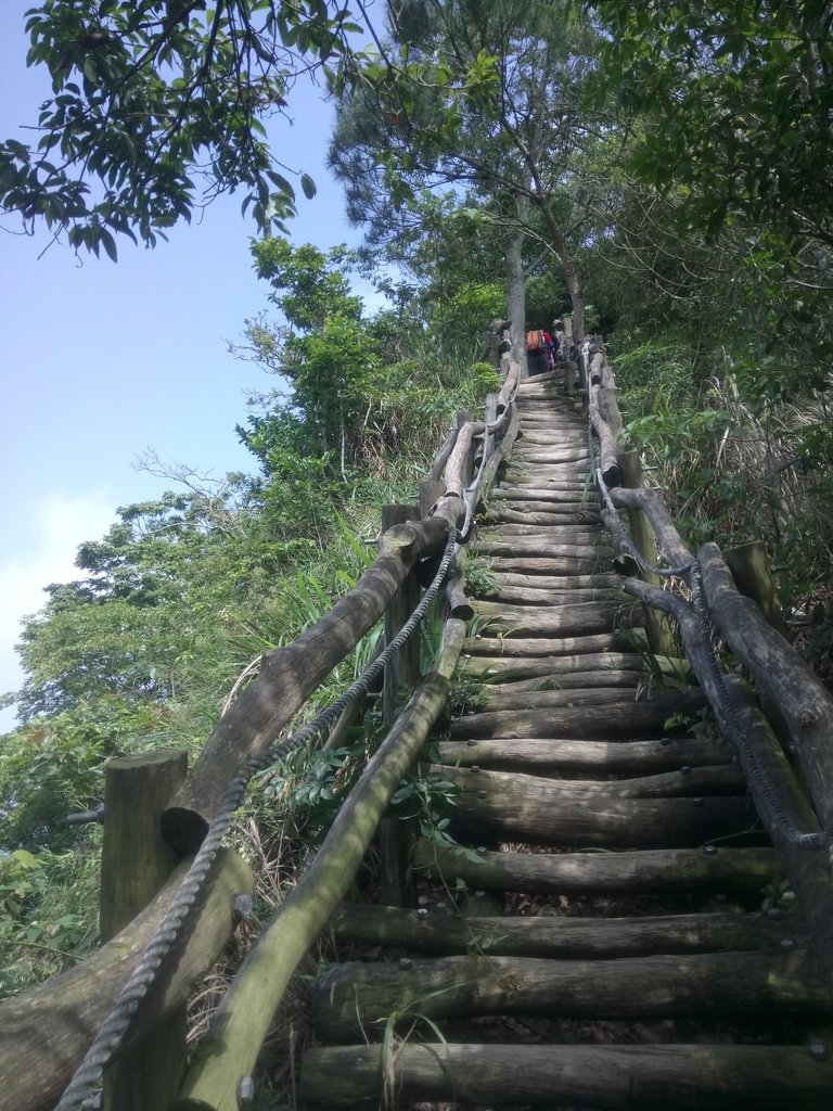 DSC_1263.JPG - 大坑四號步道  頭嵙山