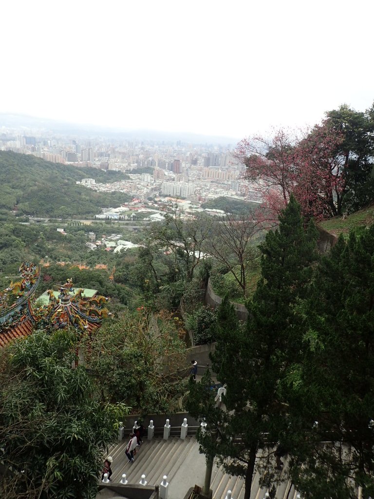 P2178182.JPG - 中和  南勢角山  (烘爐地)