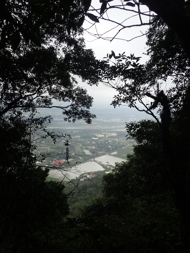 P2107498.JPG - 大溪  溪洲山登山步道