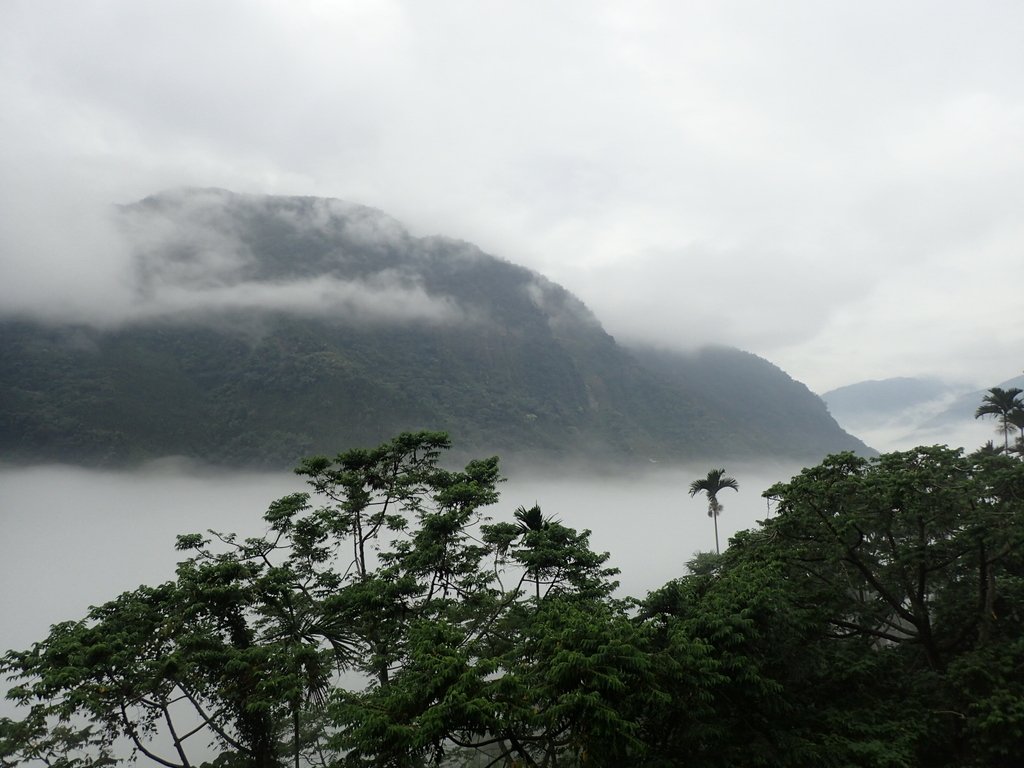 PA231558.JPG - 古坑  草嶺  雲山繚繞