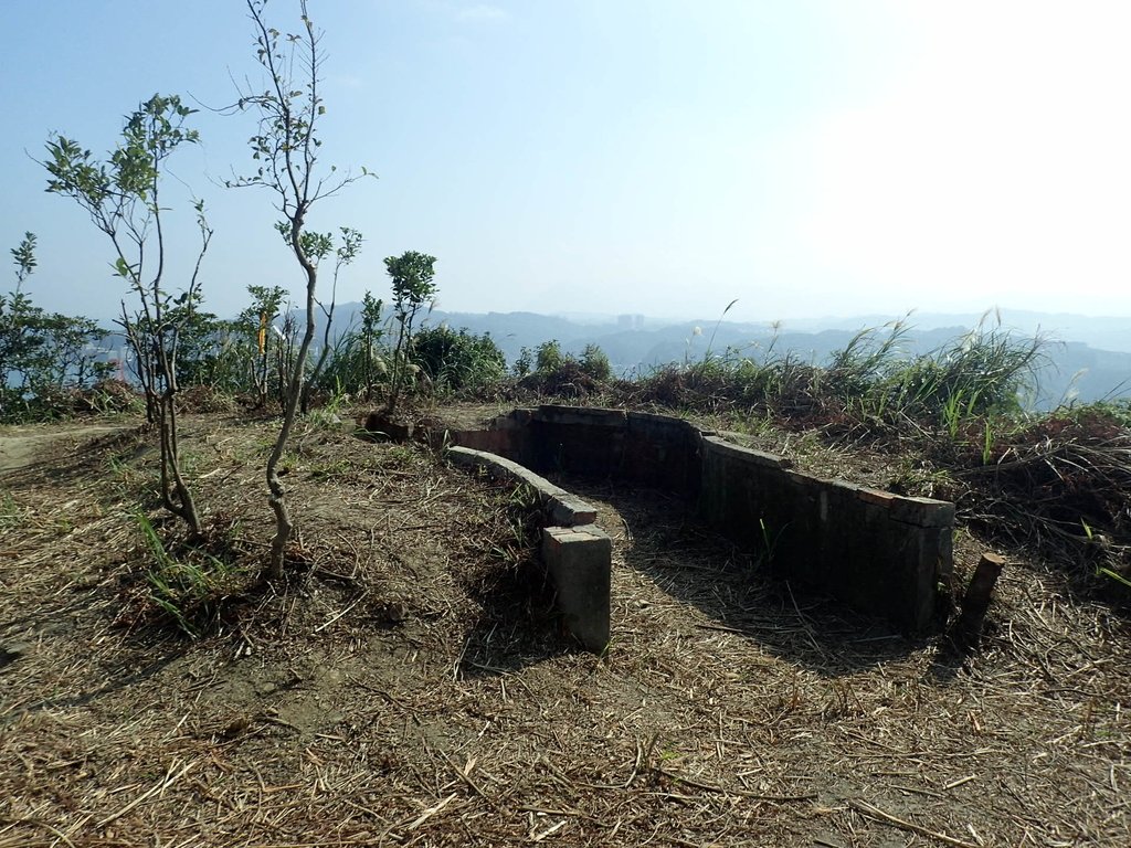 PB179543.JPG - 基隆  球子山(火號山)步道