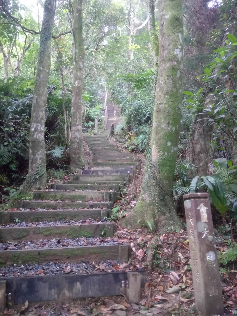 DSC_7166.JPG - 坪林  鬼子賴尖山